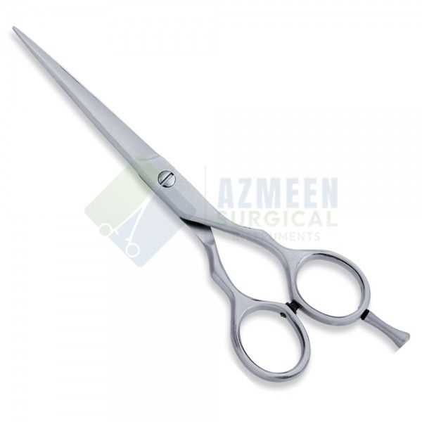 Economy Scissor