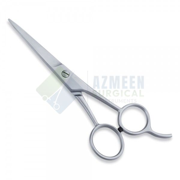 Economy Scissor