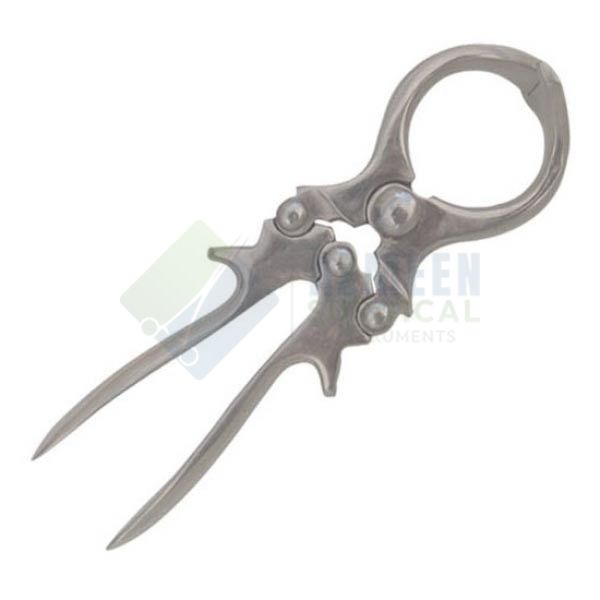 Castration Forceps