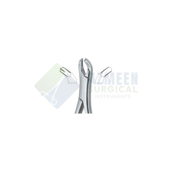 Harris Molars , Right 18R