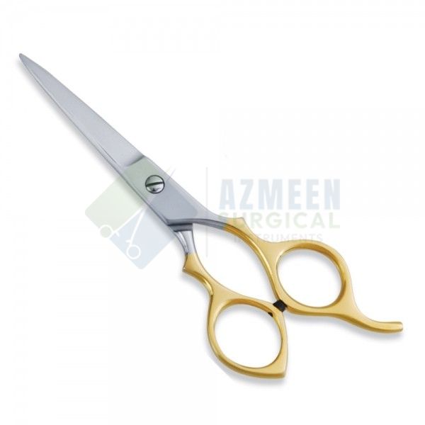 Economy Scissor