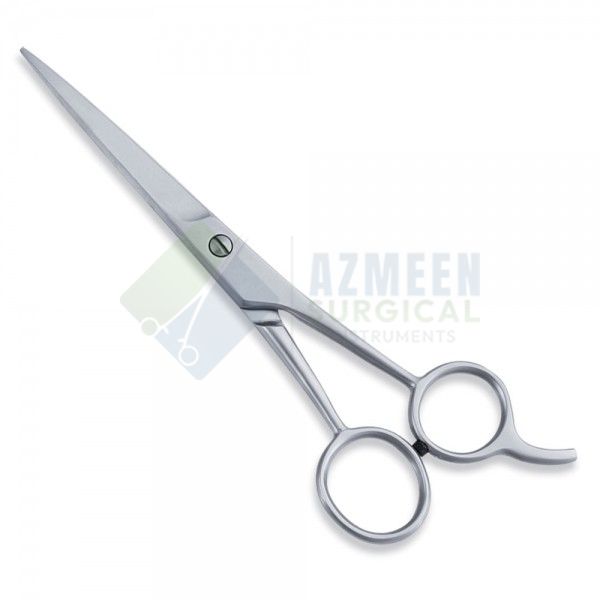 Economy Scissor