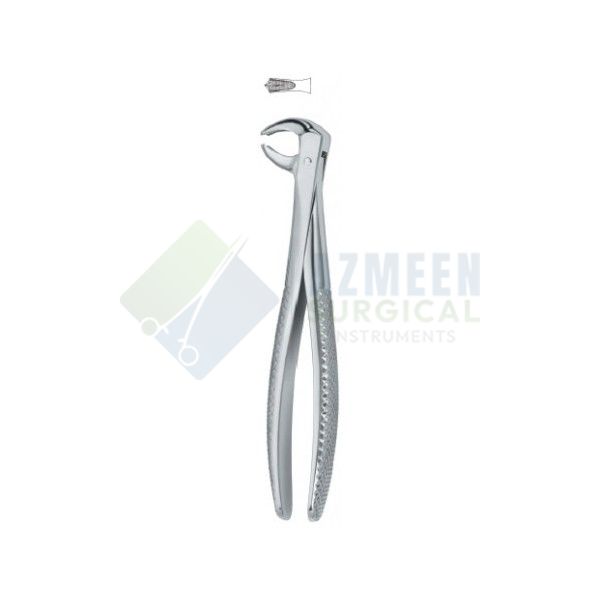 Molars 73