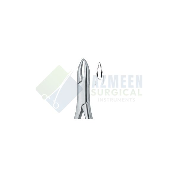 Henahan Incisors 1A 